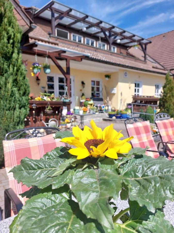 Hotel Zum Poppschen Gut Ольбернхау Экстерьер фото
